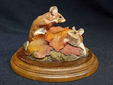 Country Artists 'Woodmice In