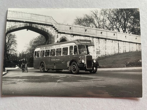 Bus photo rougier - photo, street