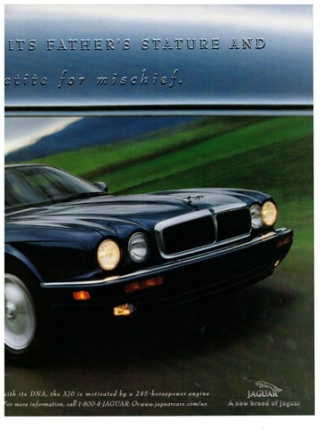 1997 jaguar xj6 mother eyes - jaguar,