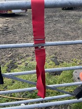 Elasticated Surcingle Summer Sheet Show Rug Fully Adjustable Red