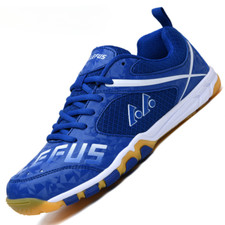 Professional Table Tennis