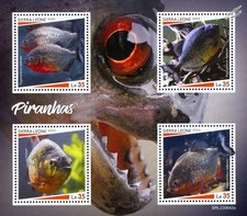PIRANHAS Piranha FISH Fishes