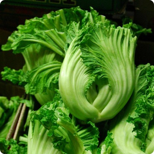 Broad leaved mustard amsoi - broad-leaved,
