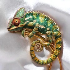 Enamel lizard chameleon