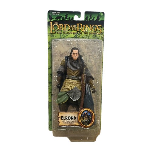 Lord the rings fellowship - lord,