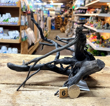 Black Moor Root Wood Small