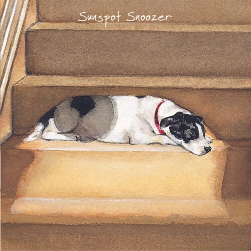 Little dog laughed card - dog,