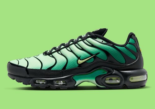 Nike air max plus - max, vapor