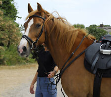 Windsor Leather Snaffle Bridle with flash Noseband and Reins, Black, Havana