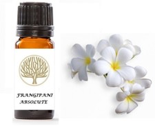 100% Pure Frangipani Absolute