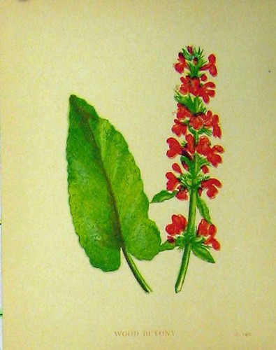 Original old antique - old, print