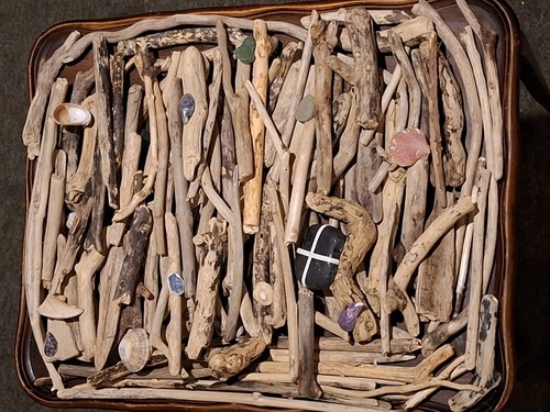 100 driftwood mixed sized - ,