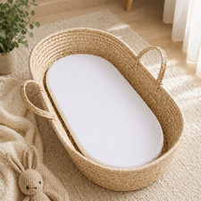 Moses Basket Foam Bassinet