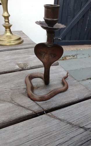 Vintage brass cobra snake - vintage,