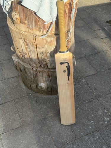 Salix pod players bat - players,