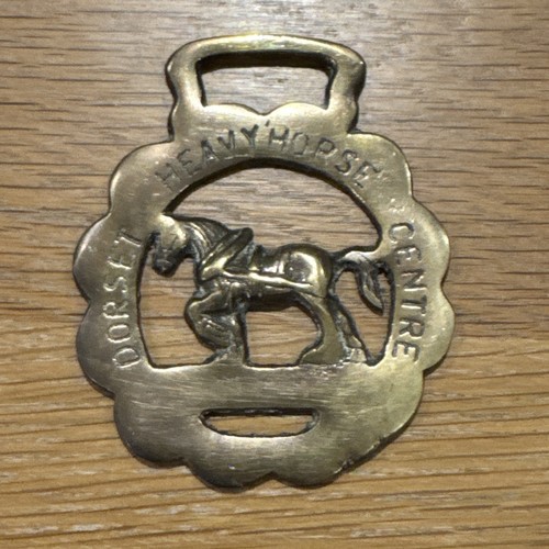 Vintage souvenir horse brass - horse,