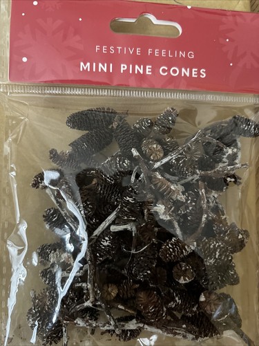 Mini dried pine cones - mini,