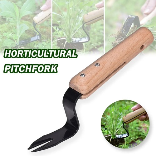 Handheld weed puller dandelion - weed,