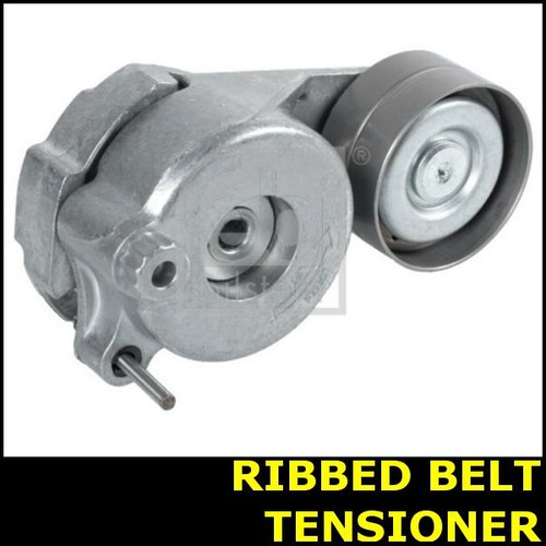 Drive belt tensioner pulley - tensioner,