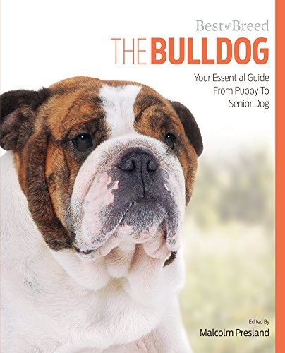Bulldog best breed - best, breed: