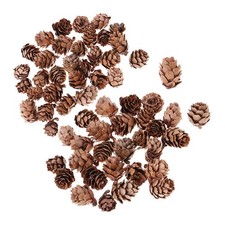 30pcs Pine Fir Cones Pinecone