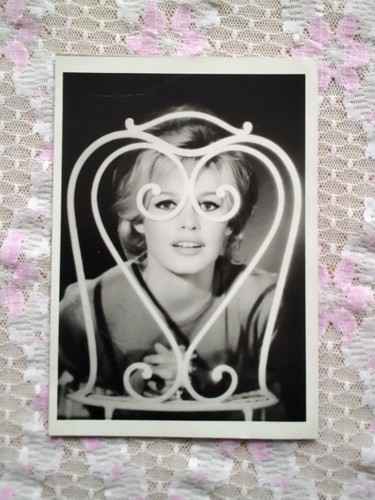 Brigitte bardot sam levin - sam,