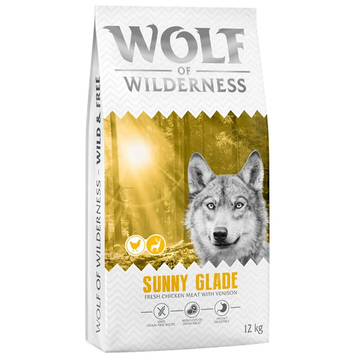 Wolf wilderness sunny glade - wolf, of
