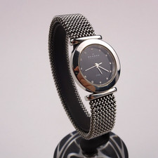 Skagen Steel 107sssb1 Watch
