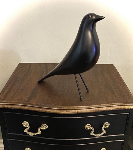 Black house bird - black, decorative