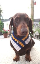 LEEDS UNITED Football Colours