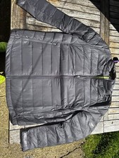 Bentley Motors Light Down