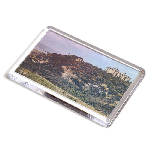 Fridge magnet vintage - fridge,