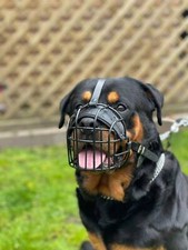 Strong Metal Wire Basket Dog