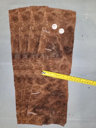 American walnut burr veneer - burr,