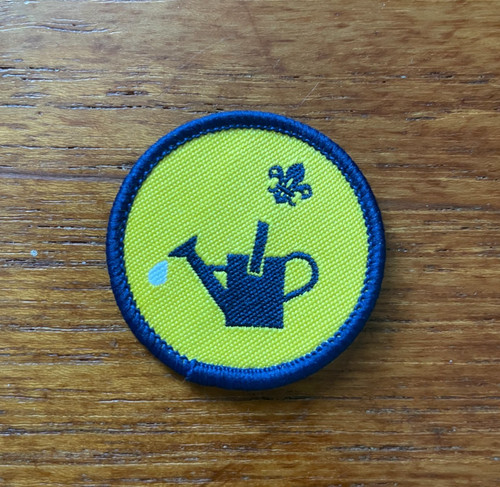 Old scout logo - beaver,