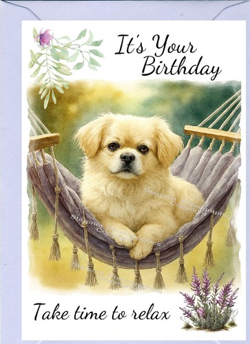 Tibetan spaniel dog - tibetan, 6")