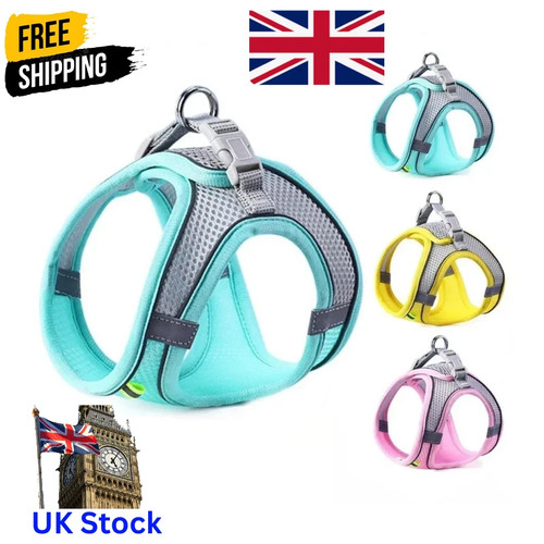 Dog harness adjustable - harness,