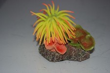 Aquarium Coral Yellow & Orange