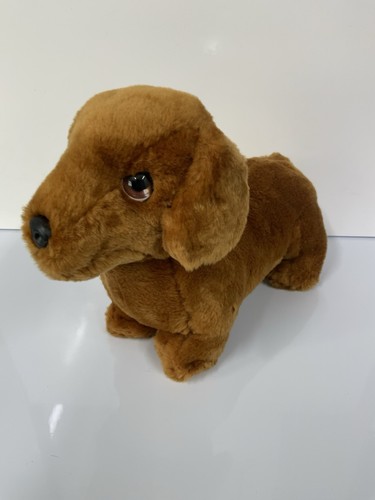 Keel cuddle puppies dachshund - puppies,