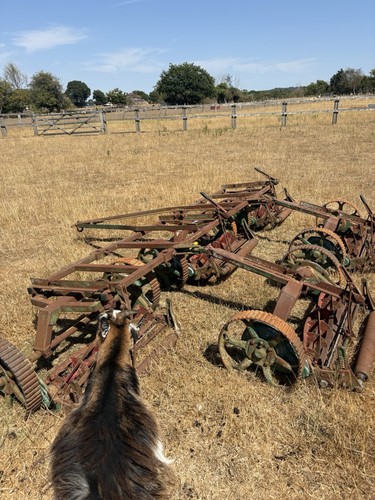 Lloyds leda gang mower - leda, 5