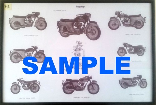 Triumph motorcycle poster - triumph,