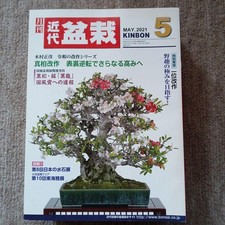 Modern Bonsai Magazines 12