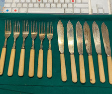 12 Piece Bone Handled Fish