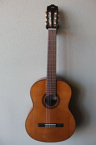 Brand new cordoba cedar - brand,