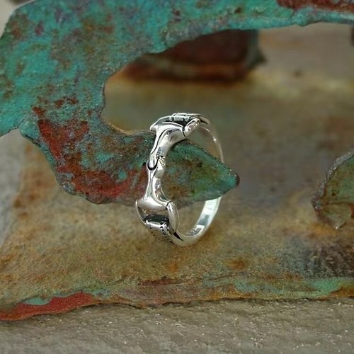 Snaffle bit horse - ring,