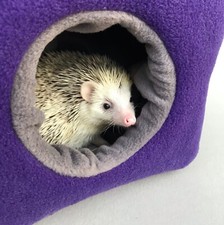 Cosy fleece bed for african pygmy hedgehogs and guinea pigs