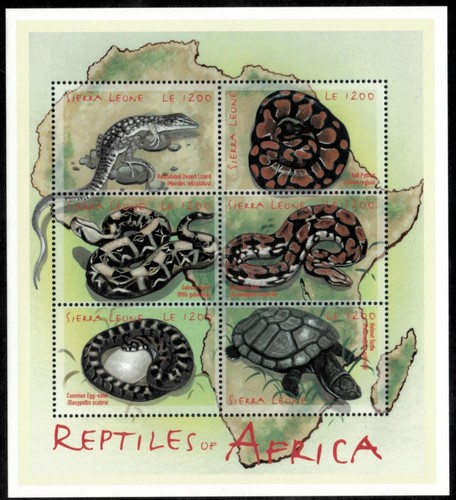 Sierra leone 2000 reptiles - leone,