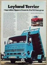 LEYLAND TERRIER Commercial