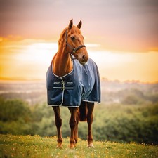 Amigo Ripstop 900 Denier Fleece Lined Turnout Blanket, Witney Navy, 69"