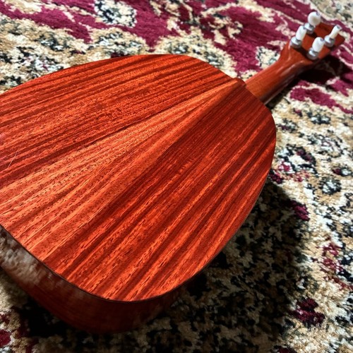 Luna 6sp ukulele walnut - mv-6sp,